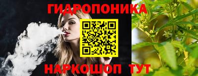 амф Славгород