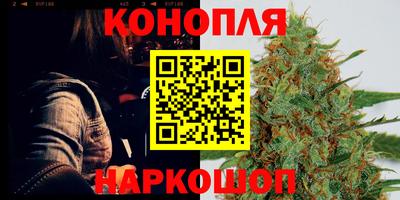 винт Сланцы