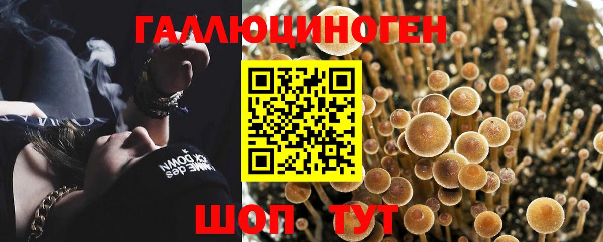 Галлюциногенные грибы мухоморы Ногинск