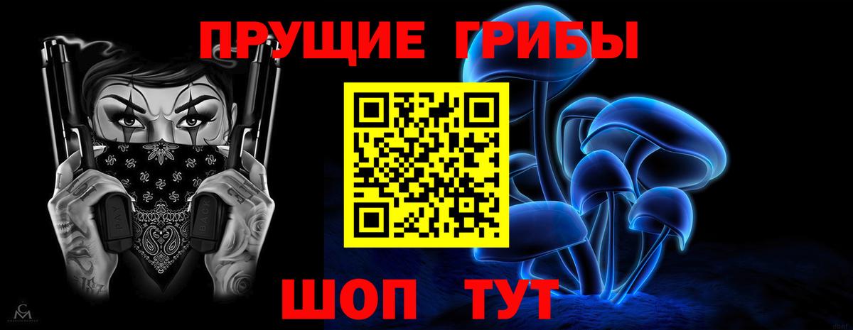 Галлюциногенные грибы Magic Shrooms  Вход с VPN  Ногинск  Галлюциногенные грибы Psilocybine cubensis 
